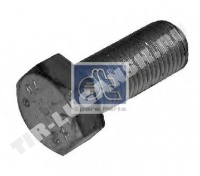Screw