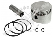 Поршень компрессора d75.25