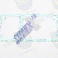 GASKET
