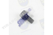 FLANGE SCREW