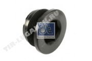 Magnetic plug