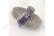 GEAR