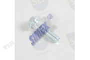 FLANGE SCREW