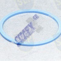 FREEZE PLUG GASKET