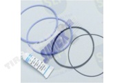 CYL. LINER SEAL KIT