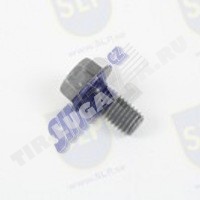 FLANGE SCREW