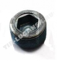 Пробка масляного поддона