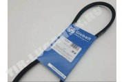 GLOBELT 11x10x1045