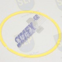 BACK-UP RING