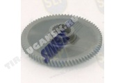 GEAR