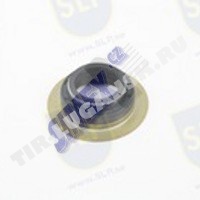 GASKET