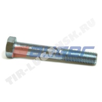 Screw