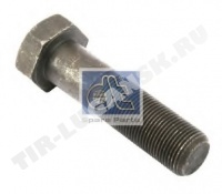 Screw