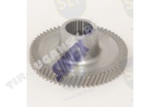 GEAR
