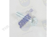 FLANGE SCREW