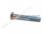 Screw
