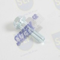 FLANGE SCREW