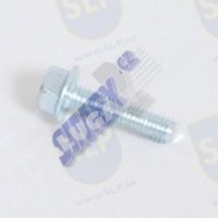 FLANGE SCREW