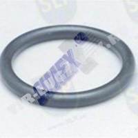 O-RING SHACKLE PIN