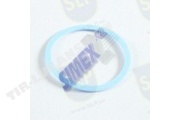 FREEZE PLUG GASKET