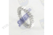 OIL PUMP GEAR