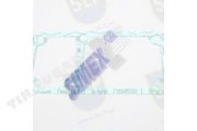 GASKET