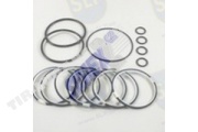 SEAL KIT HYDROSTATIC DRIVE