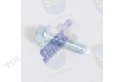 FLANGE SCREW