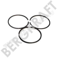 BK1107519AS Bergkraft