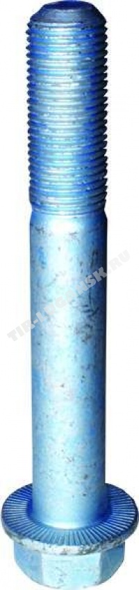 BK2914521SP Bergkraft