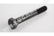 Болт амортизатора М20*2.5*280