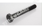 Болт амортизатора М20*2.5*120 (8.8)