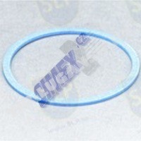 FREEZE PLUG GASKET