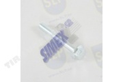 FLANGE SCREW