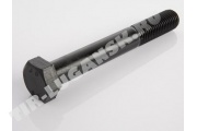 Болт амортизатора М20*2.5*300