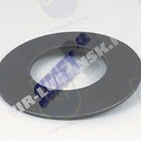 DISC SPRING