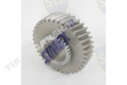 GEAR