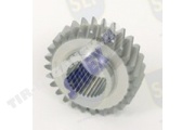GEAR