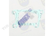 GASKET
