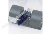 HEATER MOTOR