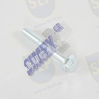 FLANGE SCREW