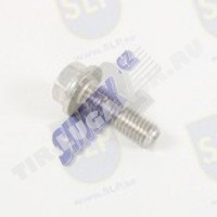 FLANGE SCREW