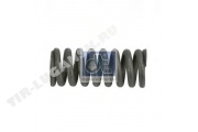 Compression spring
