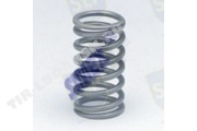 VALVE SPRING