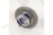 GEAR
