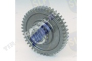 GEAR DROPBOX